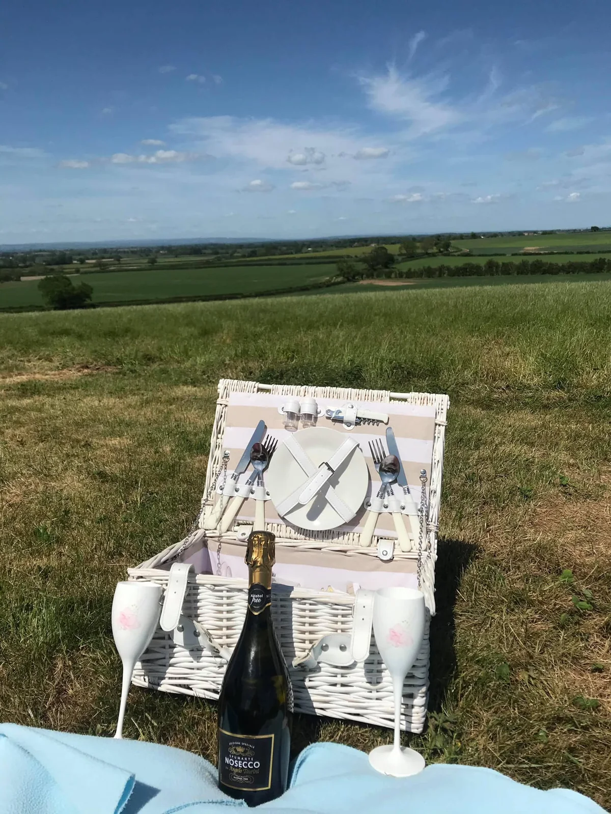 A picnic basket and bottle set out in a sunny field.