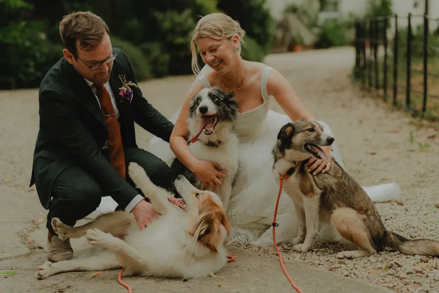 Alice and Sean sitting on the gravel with three dogs