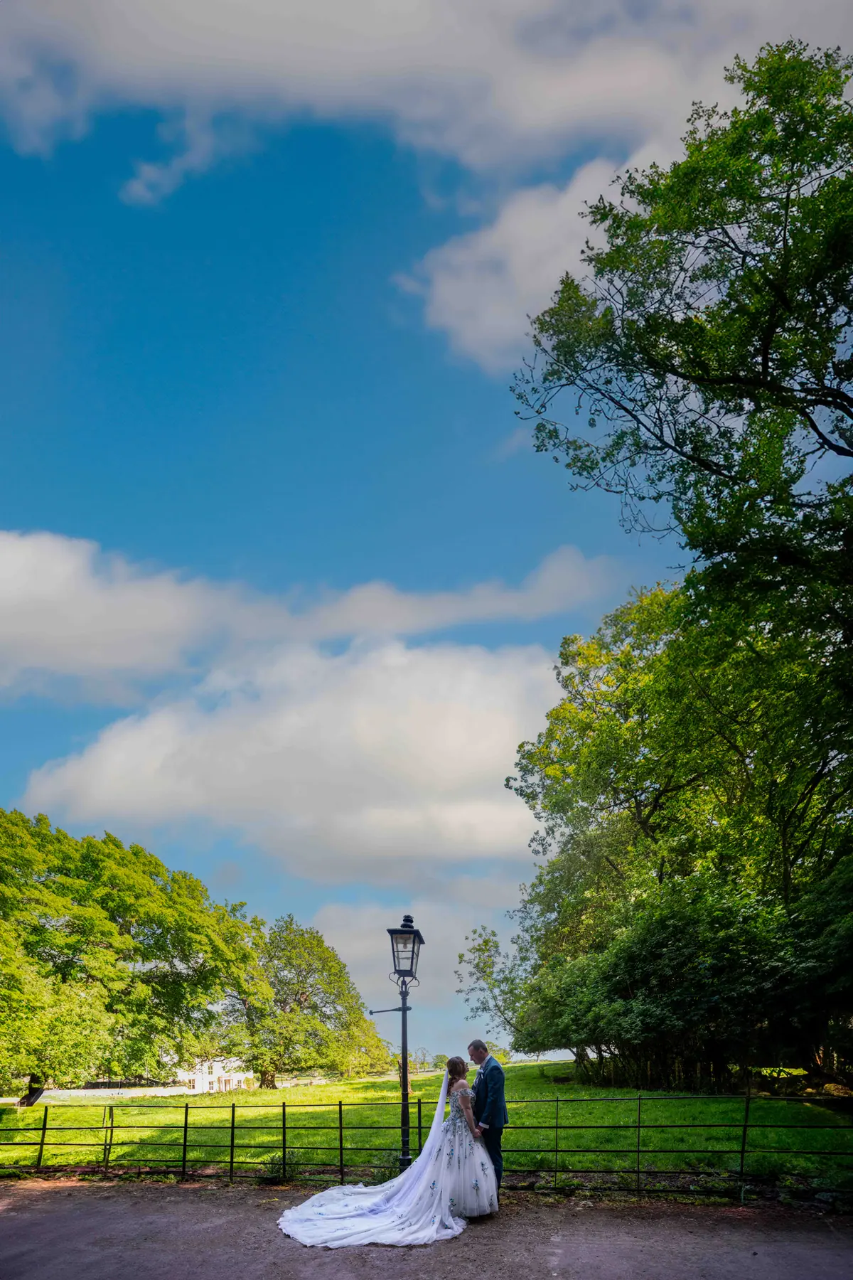 The couple appearing small beneath blue sky on the tree-lined lane